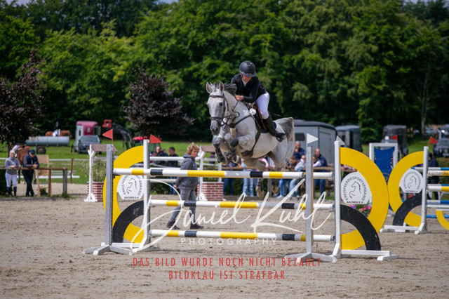IMG_5637 | Turniersportfotografie; Pferdefotografie; Dressurfotografie