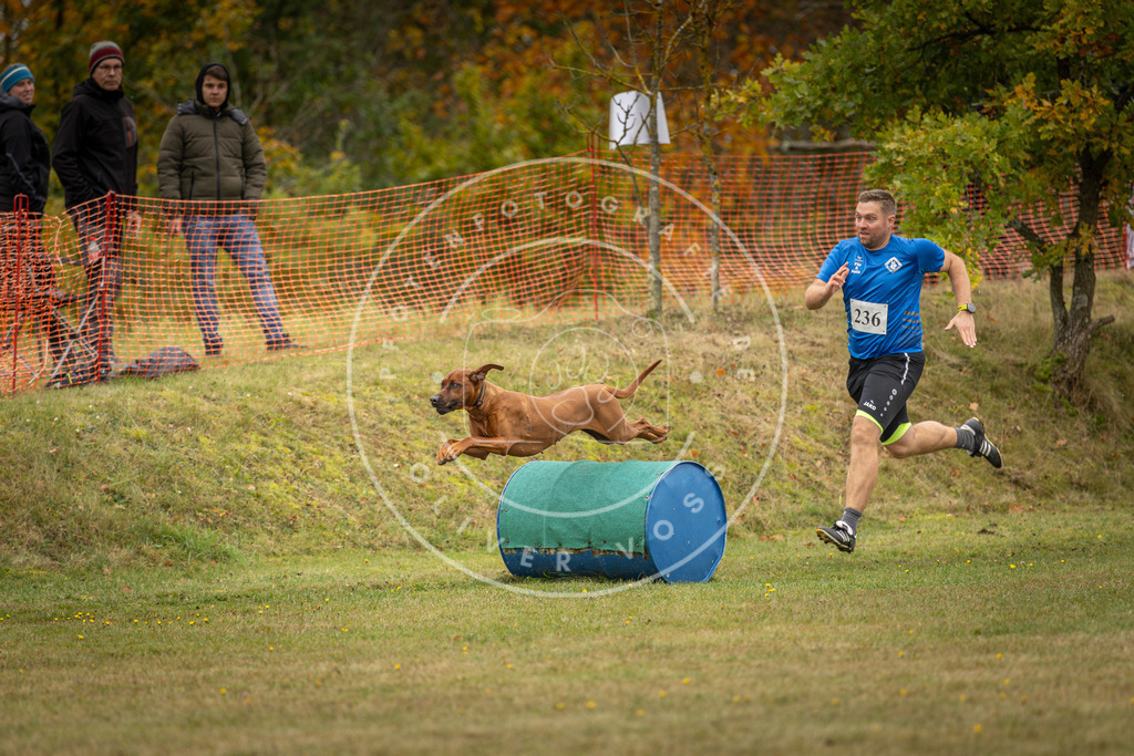 Pfotenfotografie_DV3A5722 | Hundefotografie, Tierfotograf, Pfotenfotografie, Fotoshooting Hund, Hunde Portrait, Hundesport, Hundeportraits, Heideshooting, Hunde, Sportfotograf, Hundefotograf, Turnierhundsport, THS,  - Realisiert mit Pictrs.com