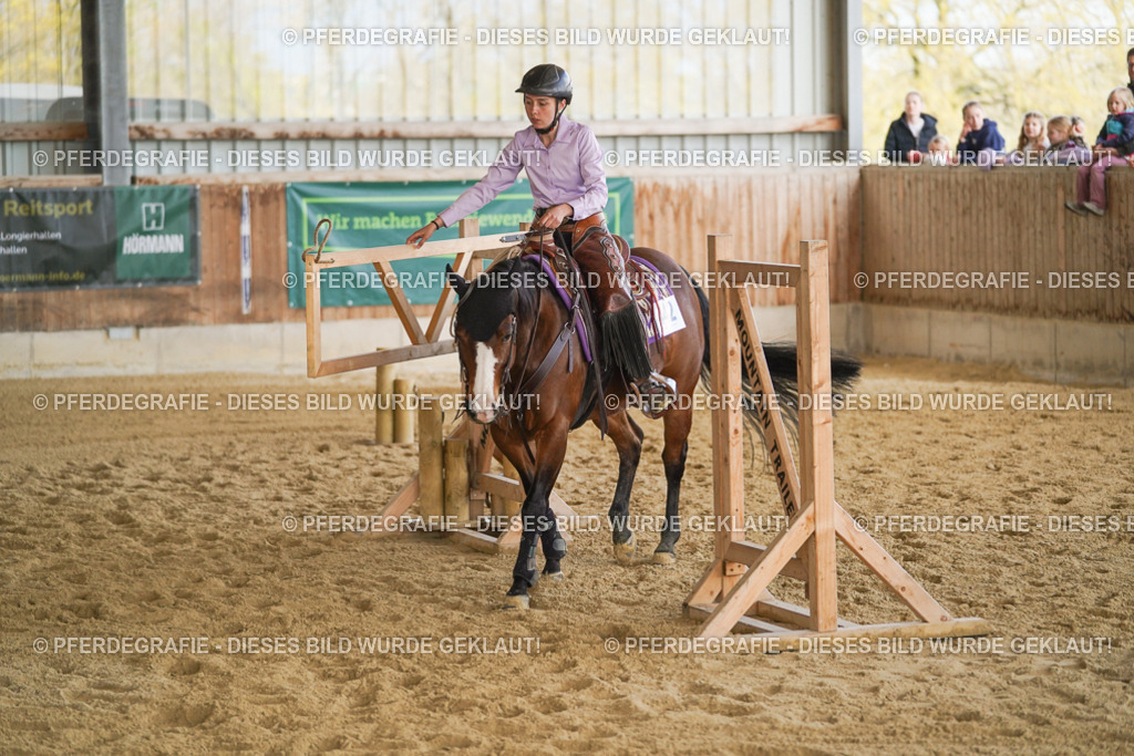 DSC06080 | Pferdegrafie