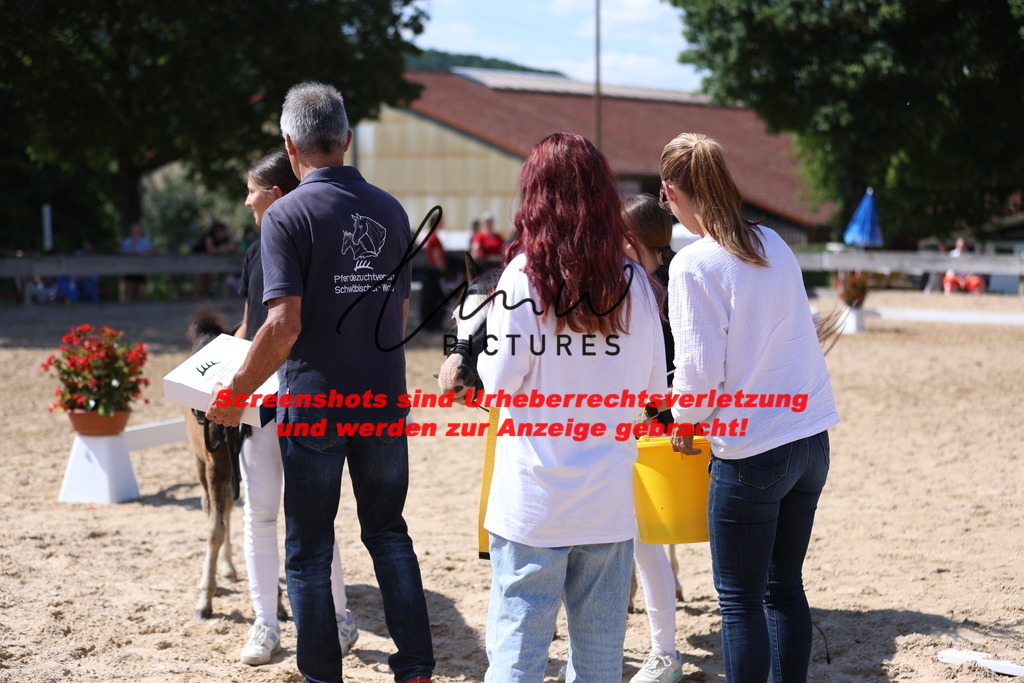 Fohlenschau_Schwäbisch_Hall_IMPRESSIONEN_15 | lmwpictures - Realisiert mit Pictrs.com