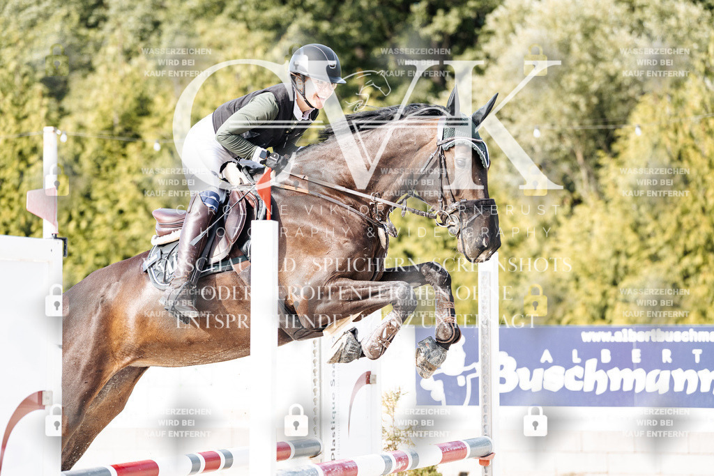 CK905551 | Turnierfotografie Pferdefotografie Trier Rheinland-Pfalz Pferdesport Reitsport Tierfotografie Sportfotografie Pferdevideo Pferdevideografie Equestrianvideography equestrianphotography  - Realisiert mit Pictrs.com