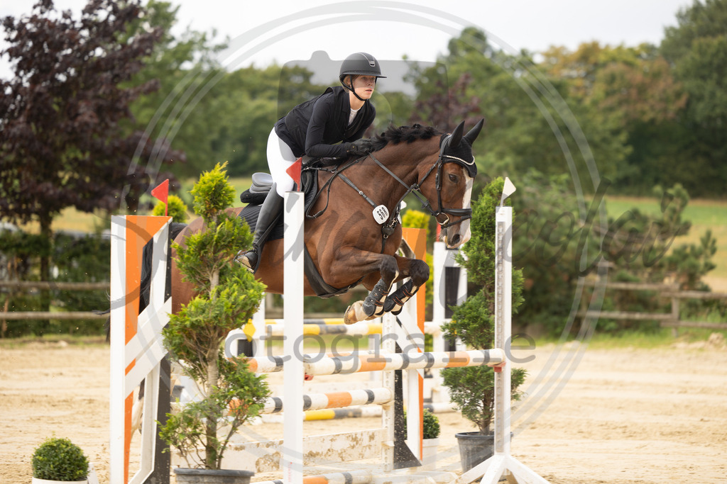 994A7779 | sabrinanicolaifotografie - Realisiert mit Pictrs.com