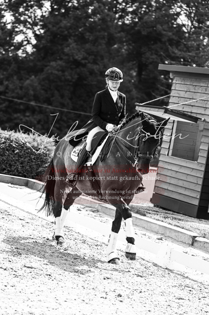 DSC_2675 | Pferde- und Turnierfotografie in Westsachsen. Pferdeportraits, Auftragszeichnungen und intuitive Kunst.