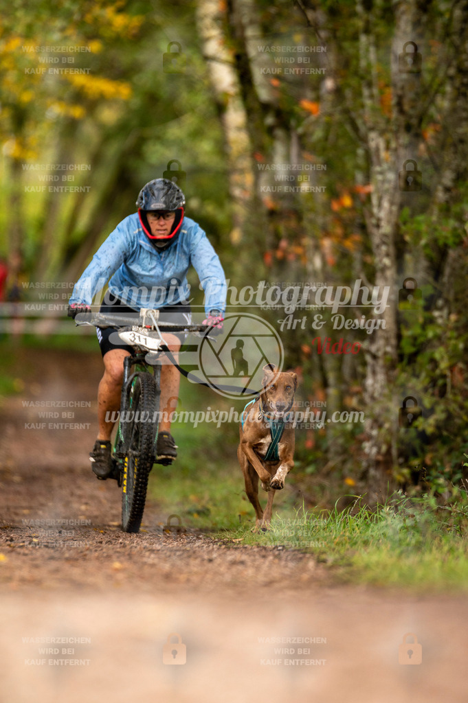 TSB_2023_E4_Bike-66 | PayLife