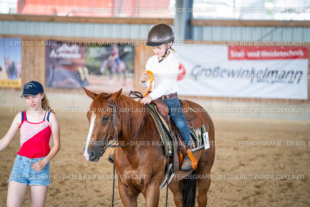 DSC03275 | Pferdegrafie