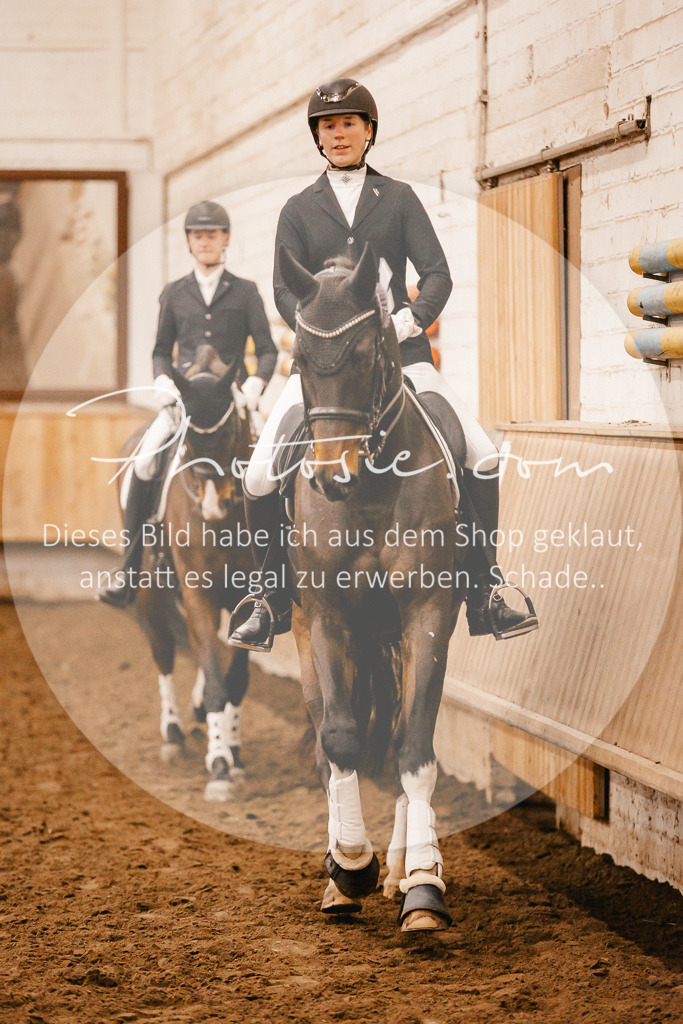 3I6A3324 | Stimmungsvolle Portraits und Reitsportfotografie im Ruhrgebiet und im Münsterland.

Pferdefotografie, Hundefotografie, Tierfotografie, Reportagen, Portraits von Tier und Mensch, Turnierfotografie in Bochum, Recklinghausen, Marl, Haltern am See, Dülmen.. - Realisiert mit Pictrs.com
