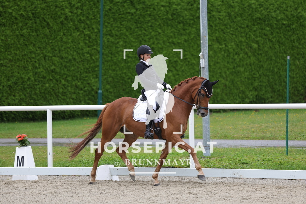 0P6A8651 | Willkommen bei Brunnmayr - Design & Fotografie – Ihrem Spezialisten für Reitturniere und Pferdeveranstaltungen in Oberösterreich, Salzburg und Bayern! Seit über 17 Jahren sind wir leidenschaftlich dabei.