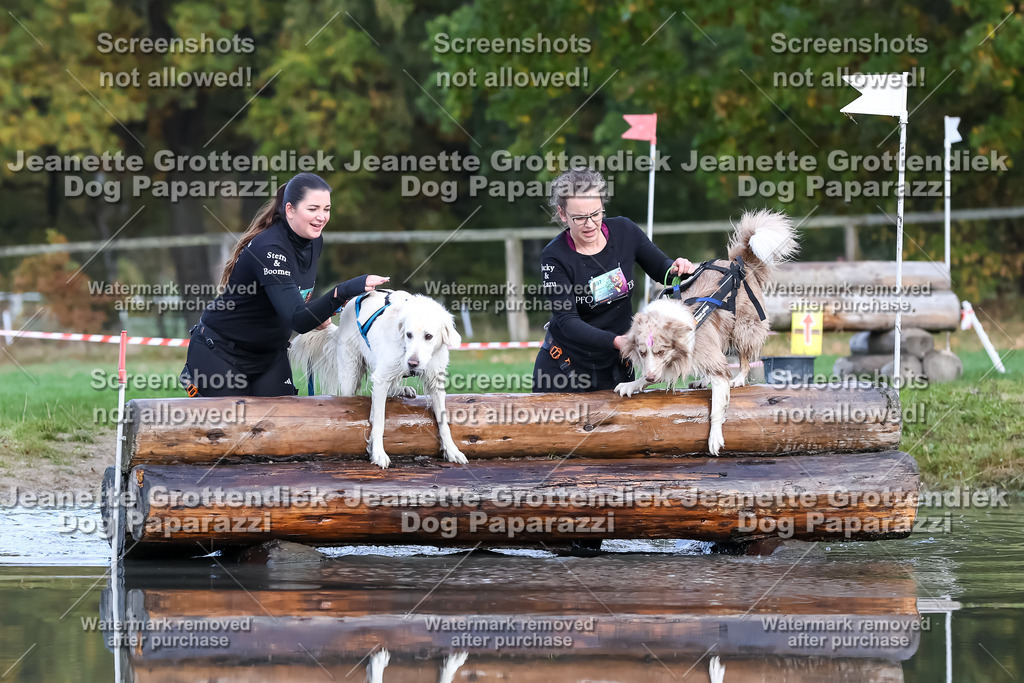 Dog Paparazzi - Strongdog 10-25-6899 | Dog Paparazzi Jeanette Grottendiek Fotografie & Videografie - Realisiert mit Pictrs.com