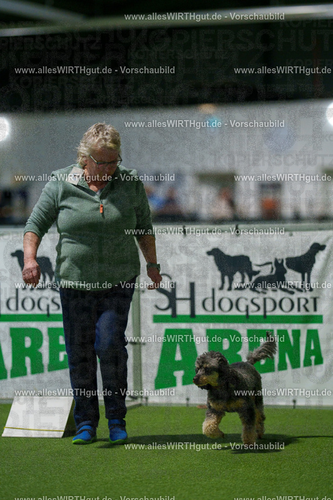 7R504015 | Professionelle Tierfotografie in Mönchengladbach von Daniel Wirth (allesWIRTHgut). Liebevolle & natürliche Bilder von Hunden & Katzen für unvergessliche Erinnerungen.