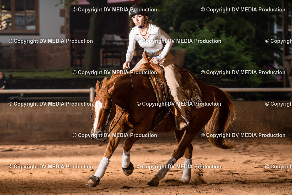 Erbach Tag 3-844 | dv-media-shop - Realisiert mit Pictrs.com