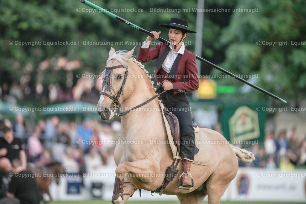 20230526_Pferdenacht_0758 | equistock