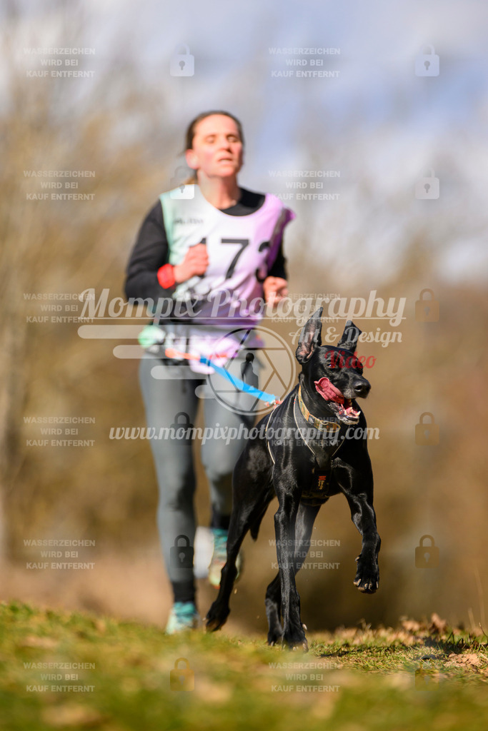 MompixPhotography_10Schwabentrail2026_SO_Canicross-81 | PayLife