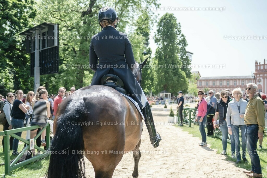 20230527_01_GP-Kür-Tour_0259 | equistock