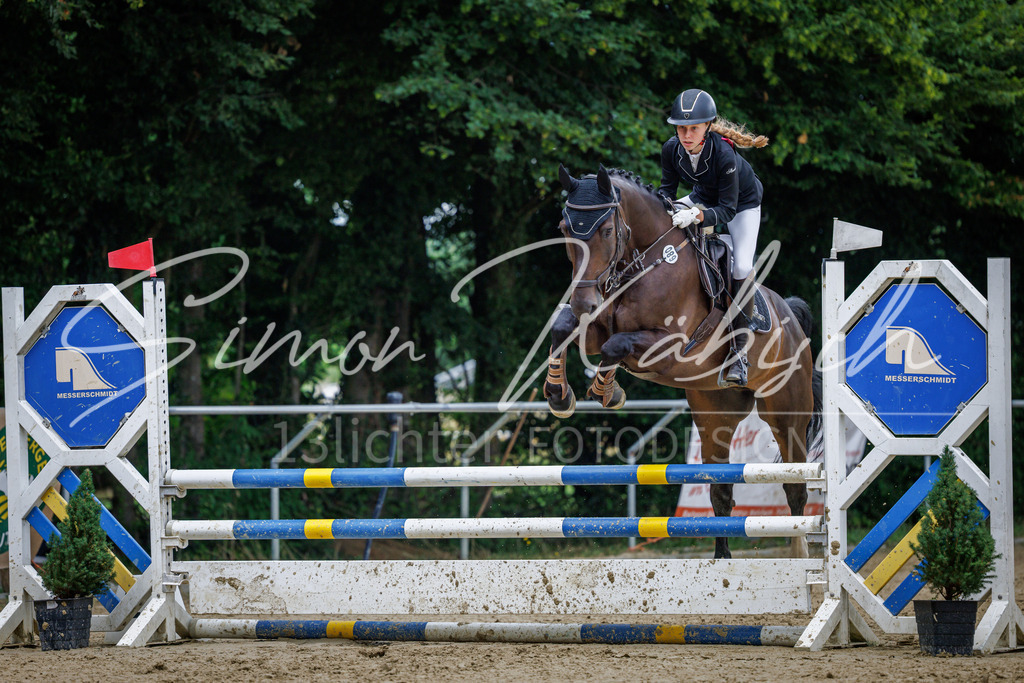 20260705-_3LI5249 | Tierfotografie Pferde, Hunde, Katzen, Haustiere.
Turnierfotografie Reitturniere, Reiten, Springreiten, Dressur in Hanau, dem Main-Kinzig-Kreis und dem Rhein-Main- Gebiet um Frankfurt