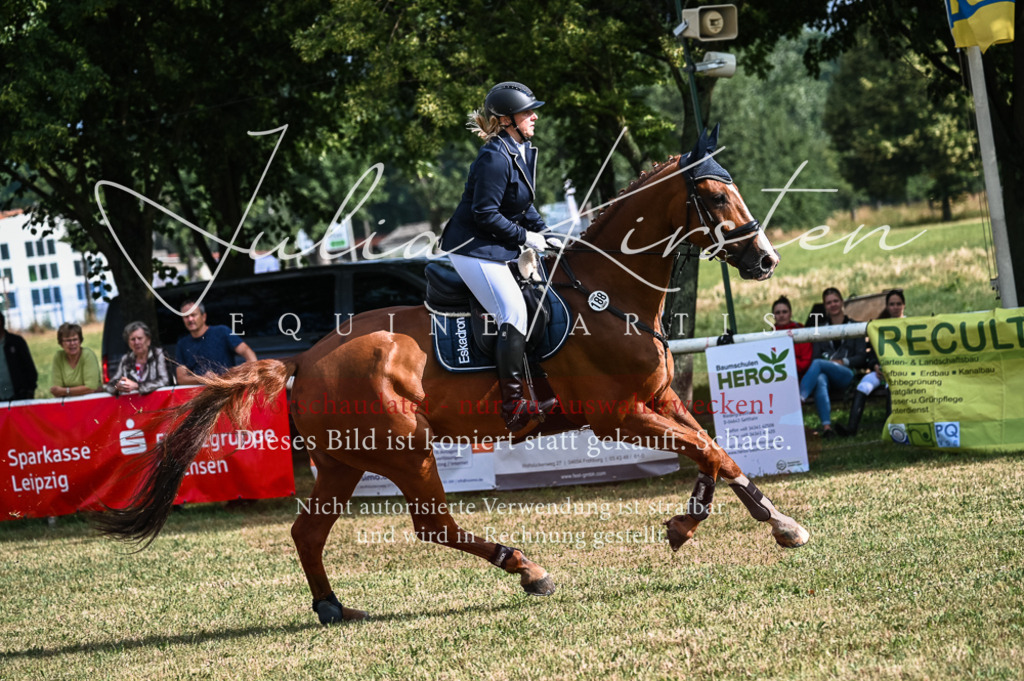 DSC_7748 | Pferde- und Turnierfotografie in Westsachsen. Pferdeportraits, Auftragszeichnungen und intuitive Kunst.