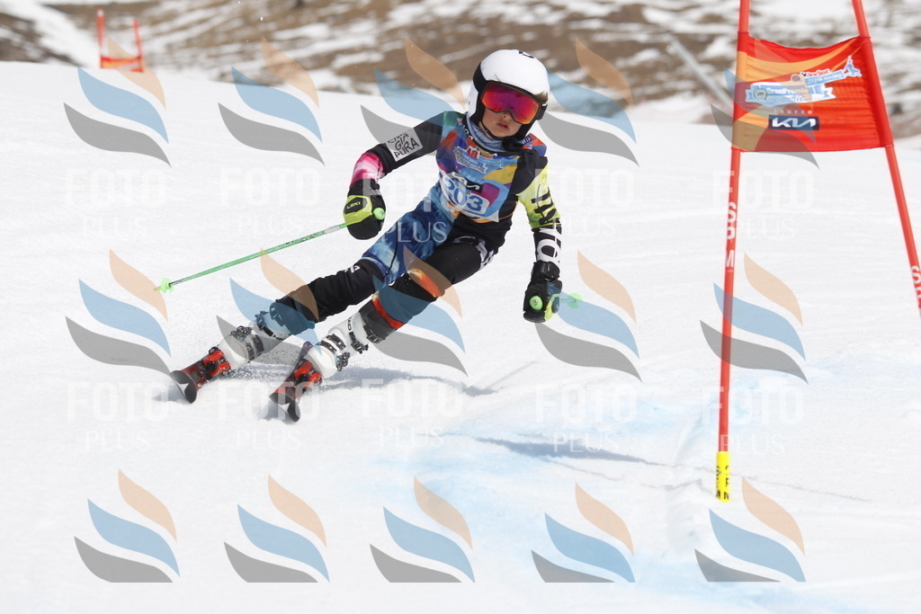 _U3G2101 | holidayphoto