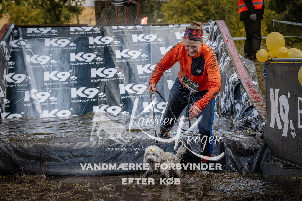 1530_ZZ94786 | kk-dogfotos