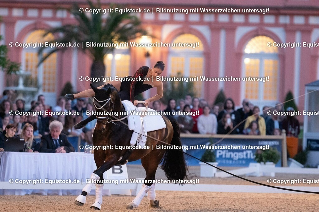 20230527_Voltigieren_NASPA_Flutlicht_0477 | equistock