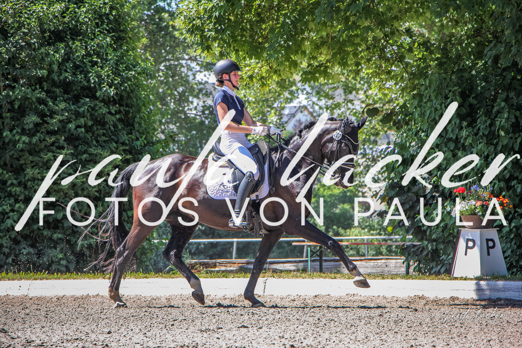 IMG_1566 | Erleben Sie dynamische Sport- und emotionale Tierfotografie in Süddeutschland mit Fotos von Paula. Spezialisiert auf Pferde- und Hundefotografie sowie Sportevents. Kontaktieren Sie mich für einzigartige und ausdrucksstarke Bilder Ihrer besonderen Momente.