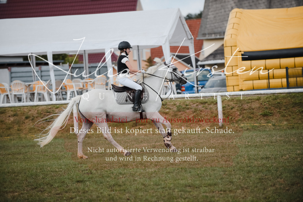 DSC_5544 | Pferde- und Turnierfotografie in Westsachsen. Pferdeportraits, Auftragszeichnungen und intuitive Kunst.