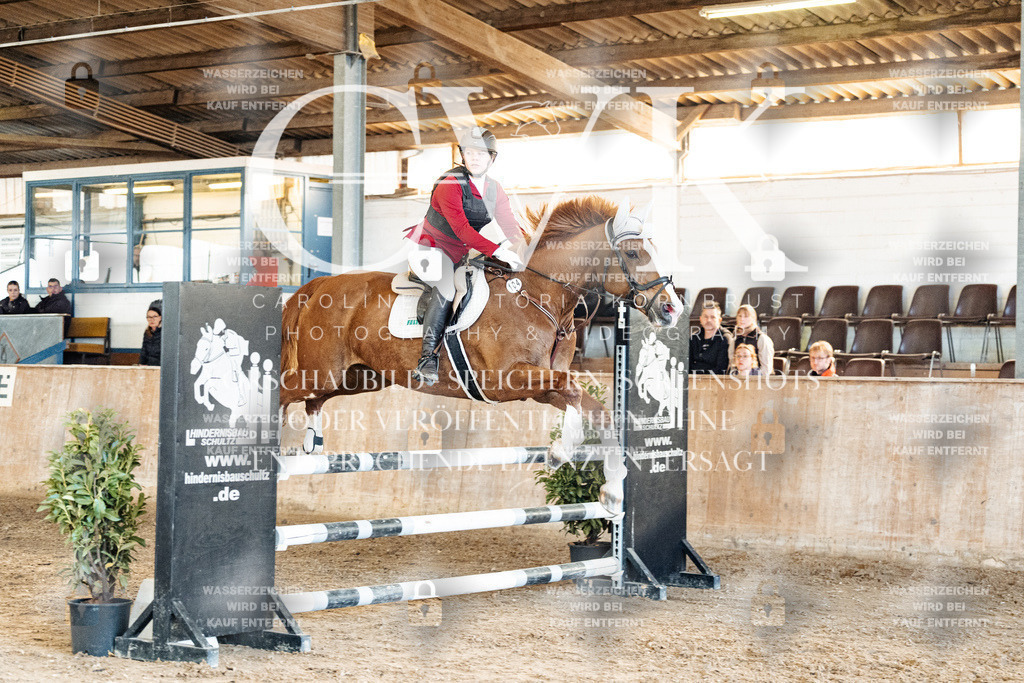 CK904971 | Turnierfotografie Pferdefotografie Trier Rheinland-Pfalz Pferdesport Reitsport Tierfotografie Sportfotografie Pferdevideo Pferdevideografie Equestrianvideography equestrianphotography  - Realized with Pictrs.com