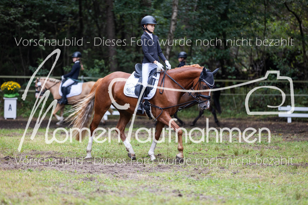 HB-Reiter-WB-075 | MomenTaufnahmen Pferdesportfotos