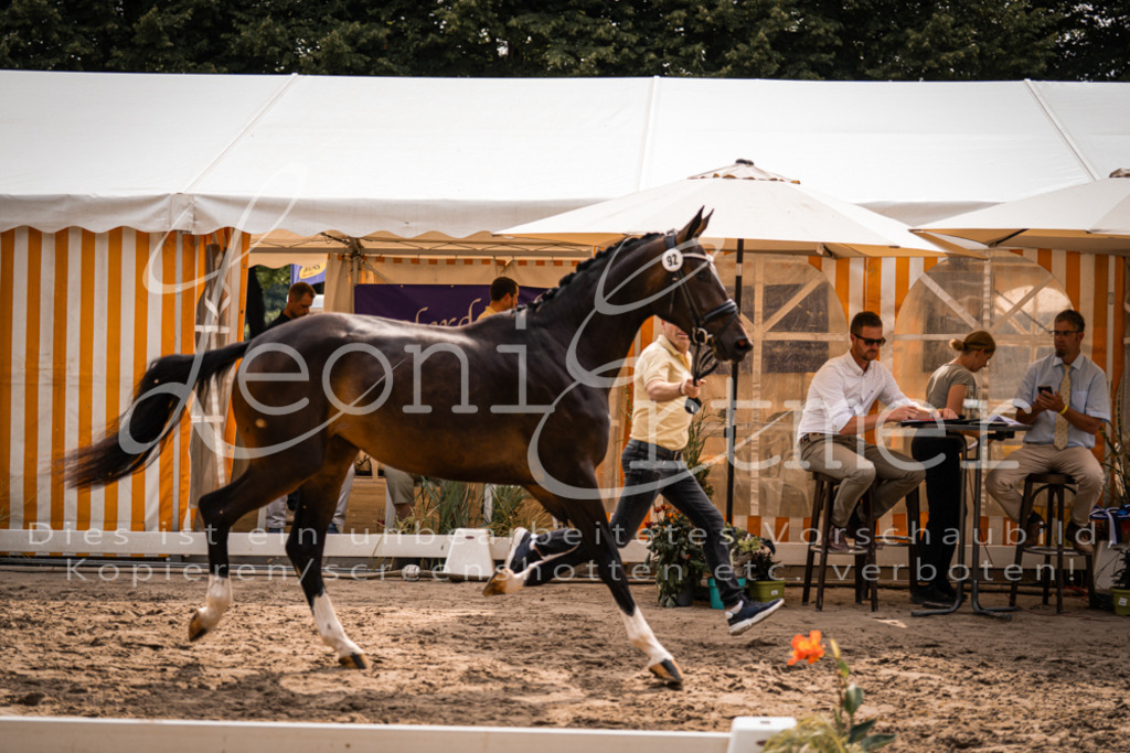 6.Fr00035 | Leoni Ertmer Photography - Realisiert mit Pictrs.com