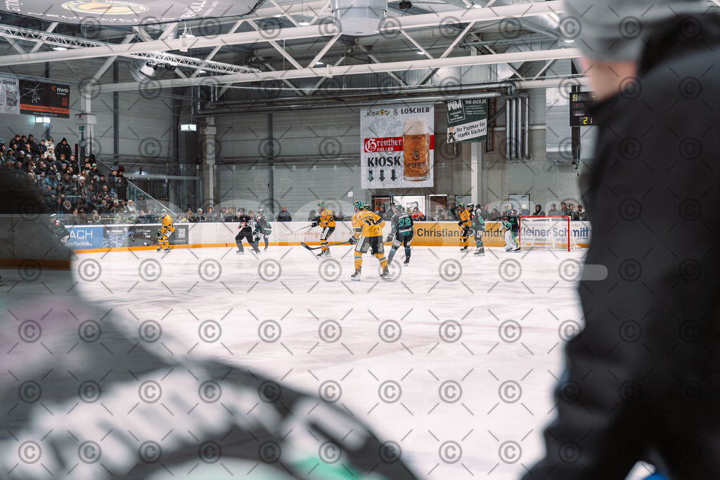 Alligators_vs_Toelz_18_11_2025-53 | Höchstadt Alligators Fotogalerie: Eishockey-Action aus Franken. Professionelle Spielfotos, Portraits & Stadionbilder zum Download. Jetzt entdecken! - Realisiert mit Pictrs.com