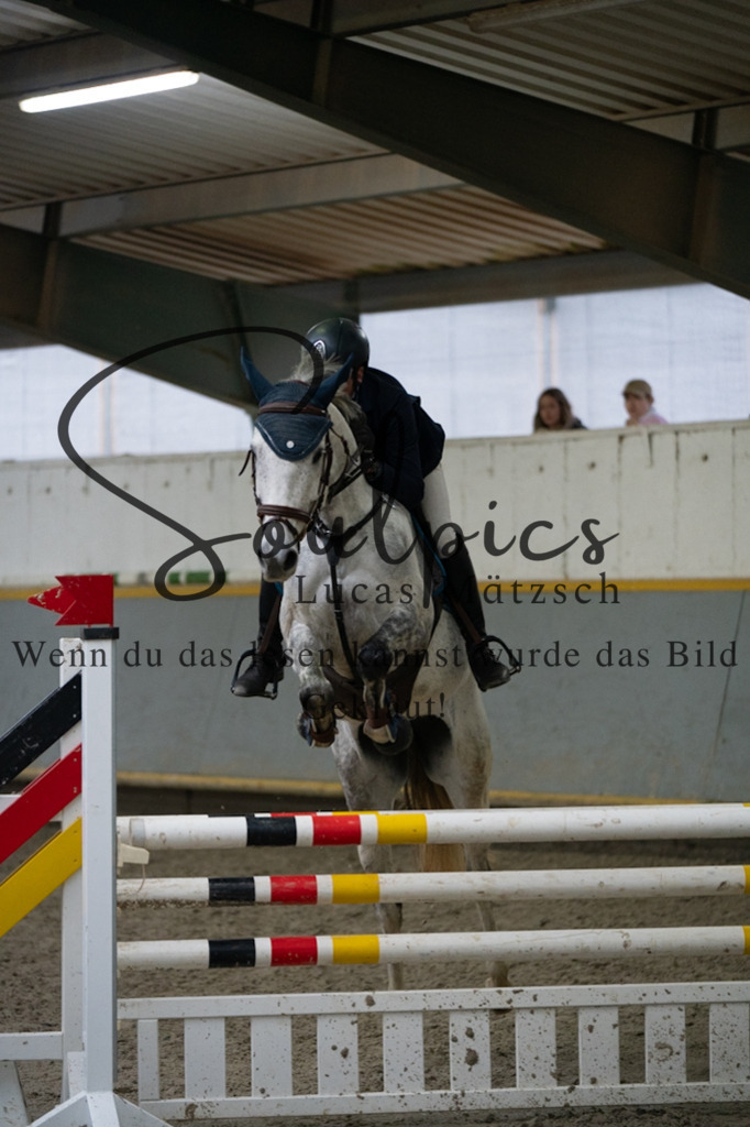 A7V08900 | Pferdefotograf