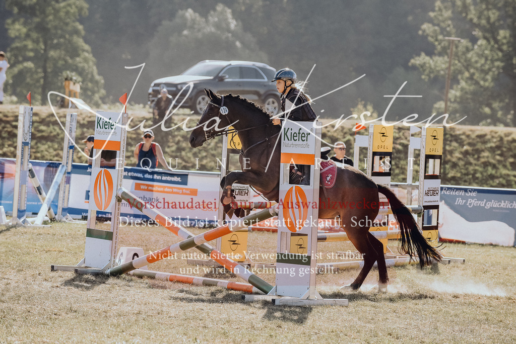 DSC_5849 | Pferde- und Turnierfotografie in Westsachsen. Pferdeportraits, Auftragszeichnungen und intuitive Kunst.