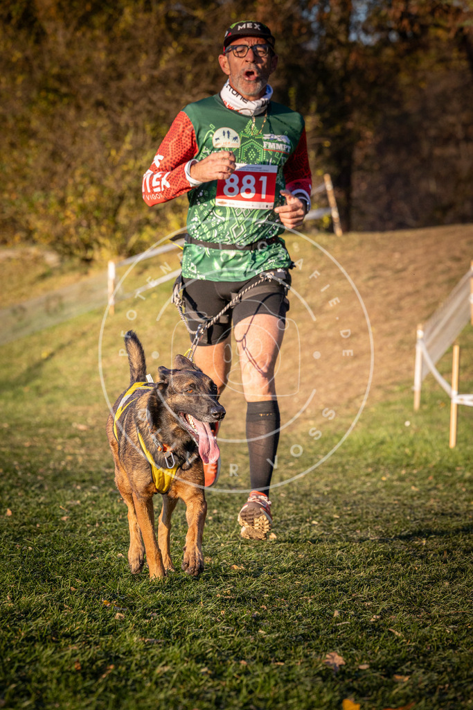 CaniXpix_0L8A1162 | Hundefotografie, Tierfotograf, Pfotenfotografie, Fotoshooting Hund, Hunde Portrait, Hundesport, Hundeportraits, Heideshooting, Hunde, Sportfotograf, Hundefotograf, Turnierhundsport, THS,  - Realisiert mit Pictrs.com