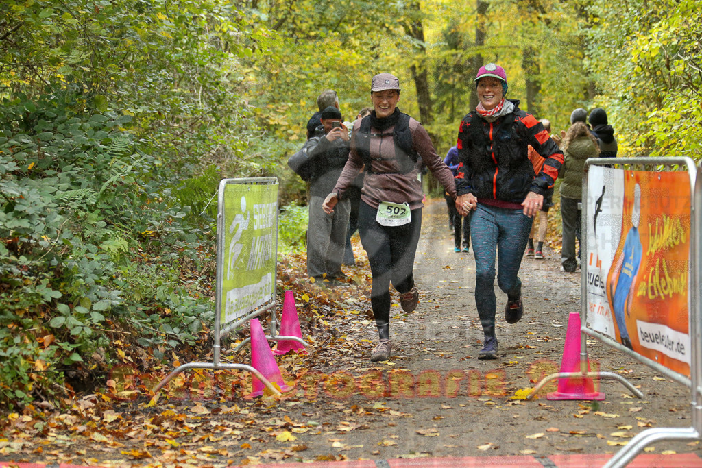 251026_1339_EX1_3794 | Sportfotografie im Rhein-Sieg Kreis, Köln, Bonn, NRW, Rheinland Pfalz, Hessen, etc. Unser Tätigkeitsfeld umfasst den Laufsport vom Volkslauf über den Marathon, Duathlon, Triathon bis zum Ultralauf wie Kölnpfad Ultra oder Schindertrail.