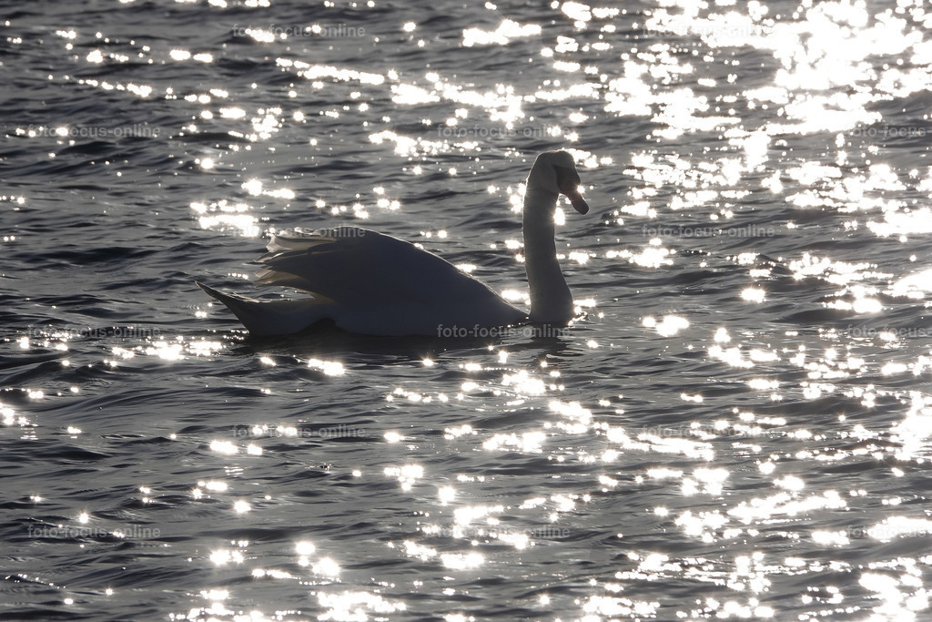 sun painting | foto-focus-online