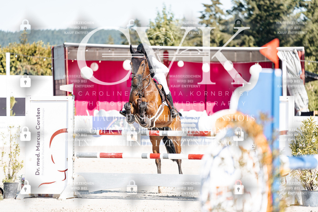 CK904859 | Turnierfotografie Pferdefotografie Trier Rheinland-Pfalz Pferdesport Reitsport Tierfotografie Sportfotografie Pferdevideo Pferdevideografie Equestrianvideography equestrianphotography  - Realisiert mit Pictrs.com