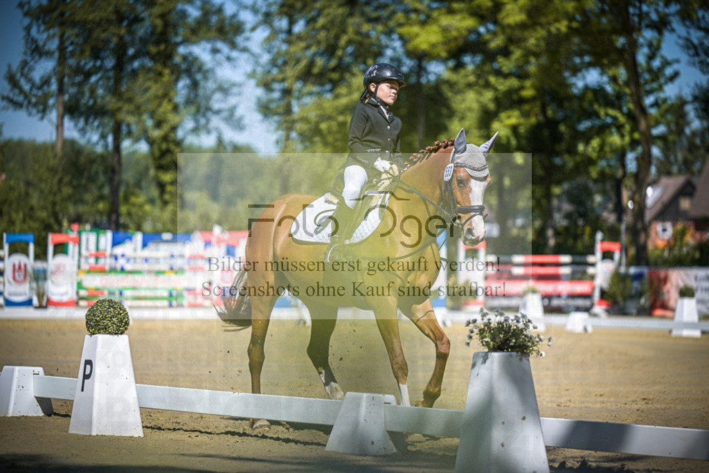 DOS_7843 | Entdecke hochwertige Reitturnierfotos von Foto Oger. Professionell, emotional und authentisch – jetzt Lieblingsmomente im Shop bestellen.Deutschlandweite Turnierfotografie. - Realisiert mit Pictrs.com