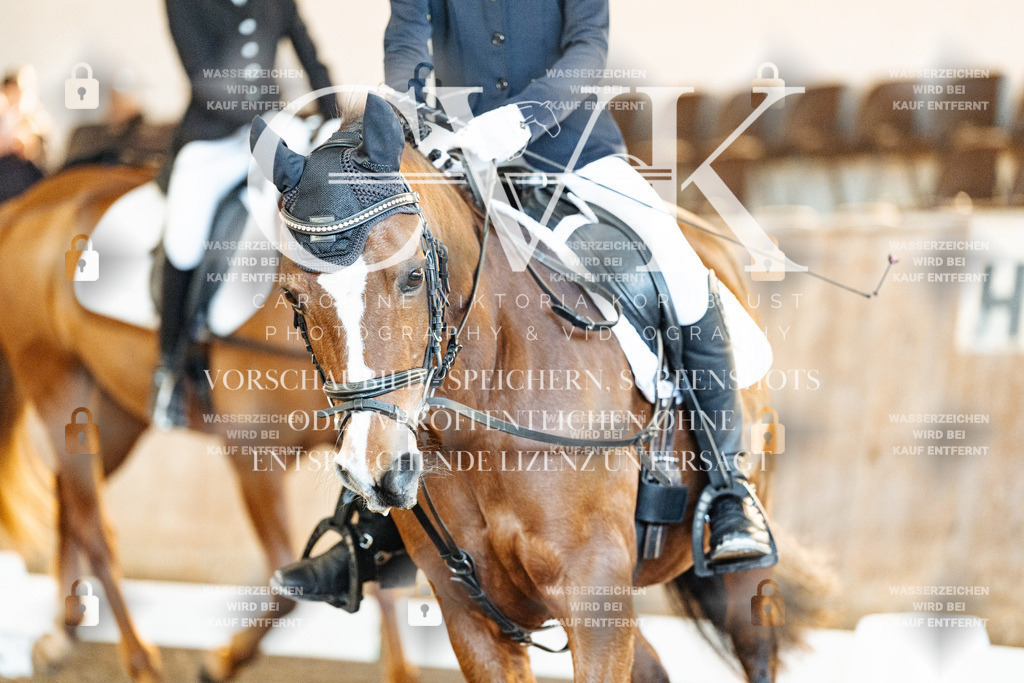 CK907852 | Turnierfotografie Pferdefotografie Trier Rheinland-Pfalz Pferdesport Reitsport Tierfotografie Sportfotografie Pferdevideo Pferdevideografie Equestrianvideography equestrianphotography  - Realisiert mit Pictrs.com