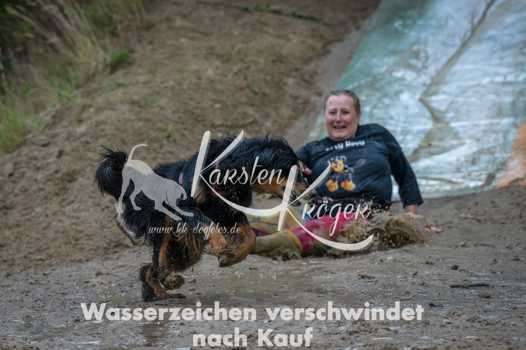 1640_ZZ92489-Bearbeitet | kk-dogfotos