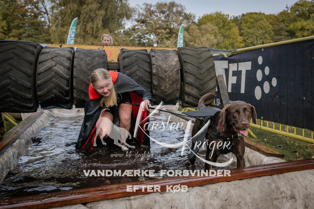 1451_ZZ90508 | kk-dogfotos