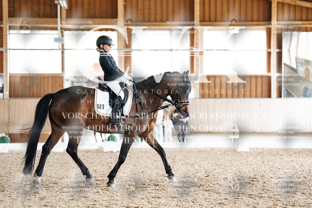 CK901683 | Turnierfotografie Pferdefotografie Trier Rheinland-Pfalz Pferdesport Reitsport Tierfotografie Sportfotografie Pferdevideo Pferdevideografie Equestrianvideography equestrianphotography  - Realisiert mit Pictrs.com