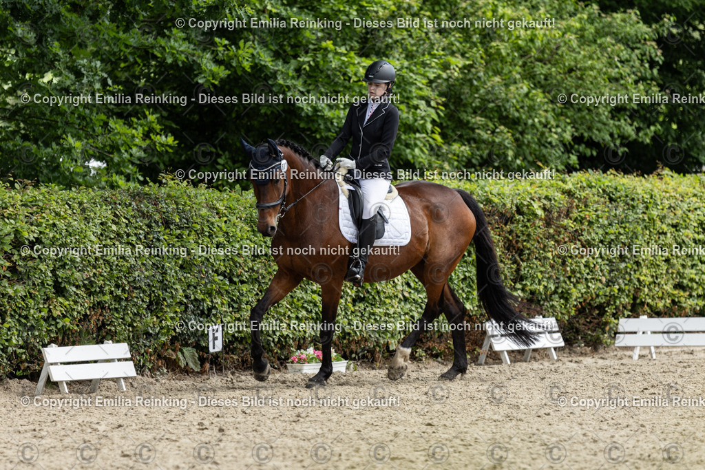 CL5A7375 | Emilia Reinking Fotografie - Realisiert mit Pictrs.com