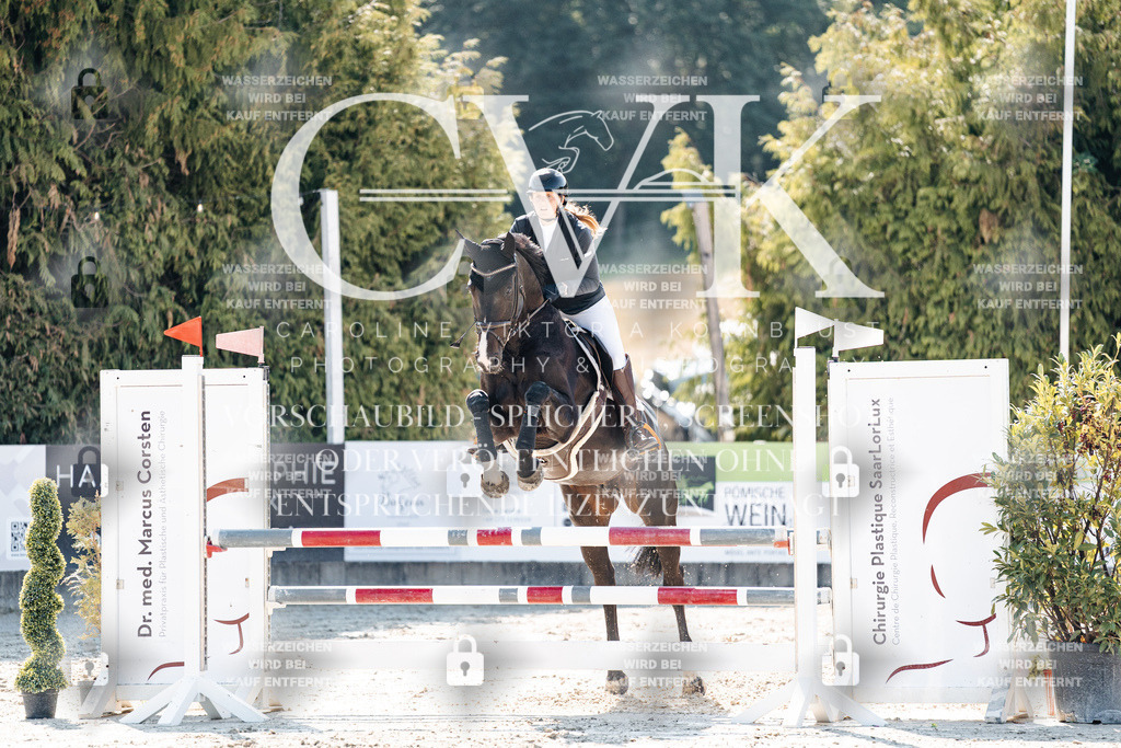 CK908100 | Turnierfotografie Pferdefotografie Trier Rheinland-Pfalz Pferdesport Reitsport Tierfotografie Sportfotografie Pferdevideo Pferdevideografie Equestrianvideography equestrianphotography  - Realisiert mit Pictrs.com
