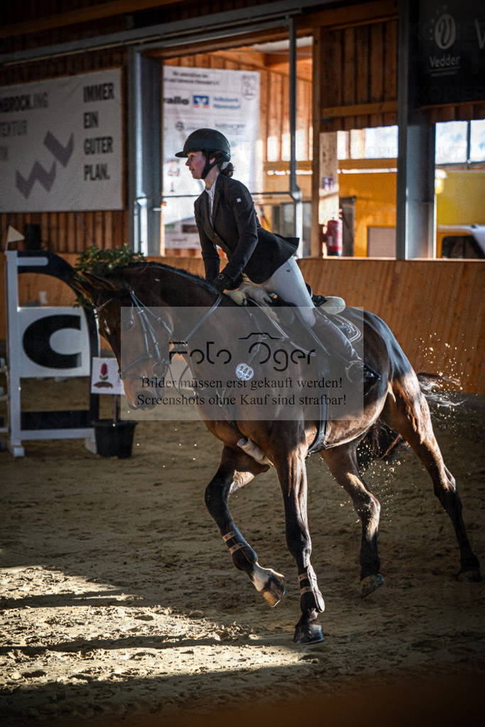 DOS_0228 | Entdecke hochwertige Reitturnierfotos von Foto Oger. Professionell, emotional und authentisch – jetzt Lieblingsmomente im Shop bestellen.Deutschlandweite Turnierfotografie. - Realisiert mit Pictrs.com
