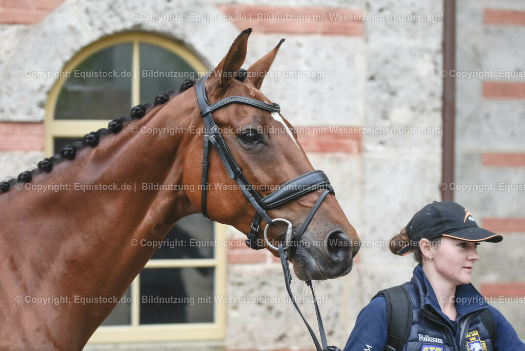 20230514_Impressionen_0162 | equistock