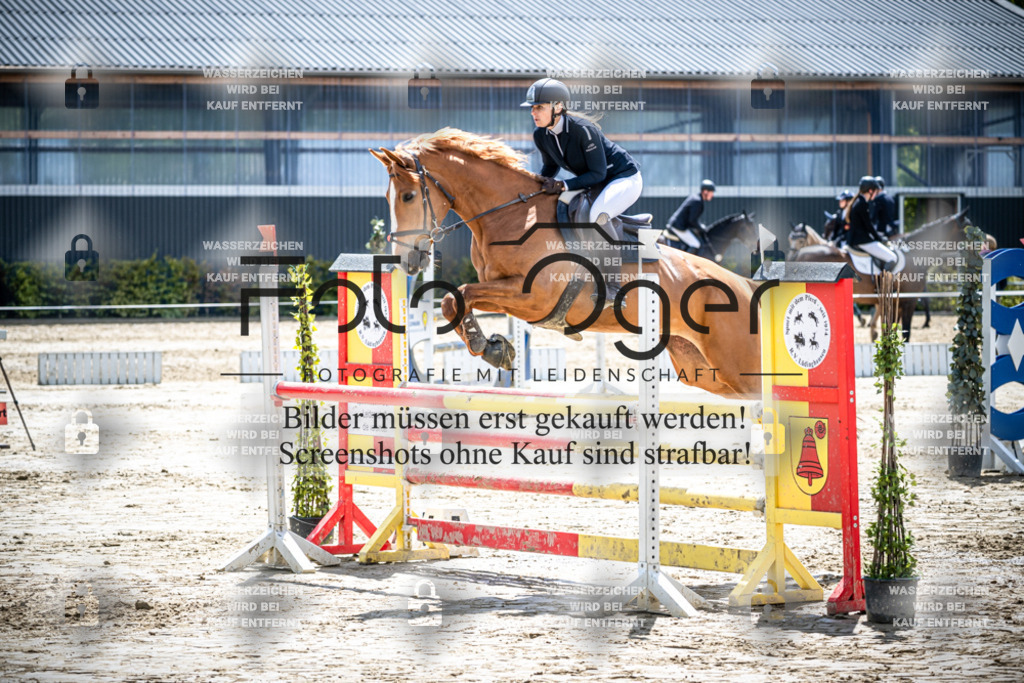 DOS_1605 | Reitturnier Lüdinghausen - Realisiert mit Pictrs.com