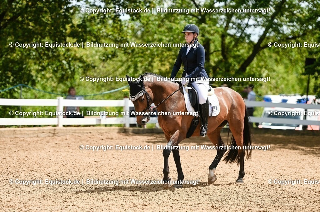 20230716_03_Dressurprfg. Kl.L - Tr._0693 | equistock