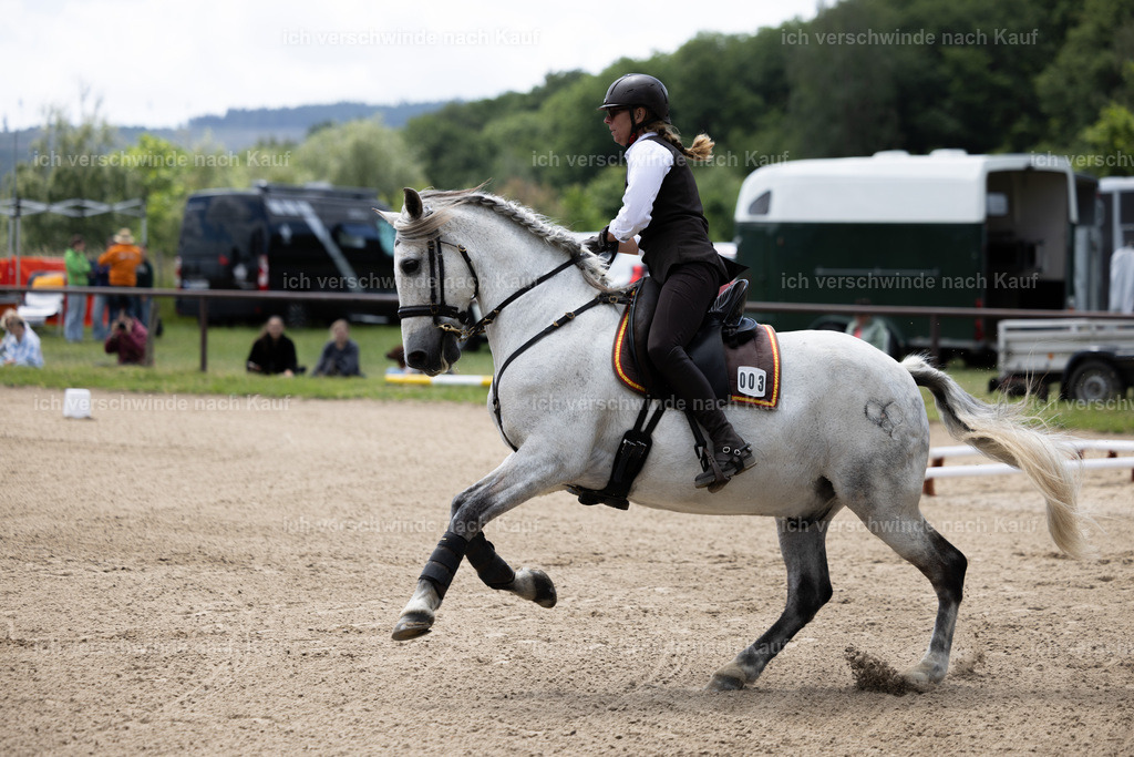 Masterclass_stoibphotography_C2_C8054.CR3 | working equitationturnier fotograf videograf stoibphotography marixx film working equitation deutschland reitsport turnierfotografie eventfotografie equestrian events