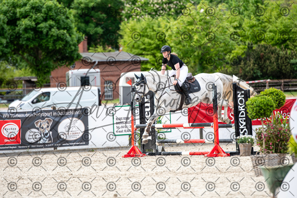 KPT_7067 | andre_photographic