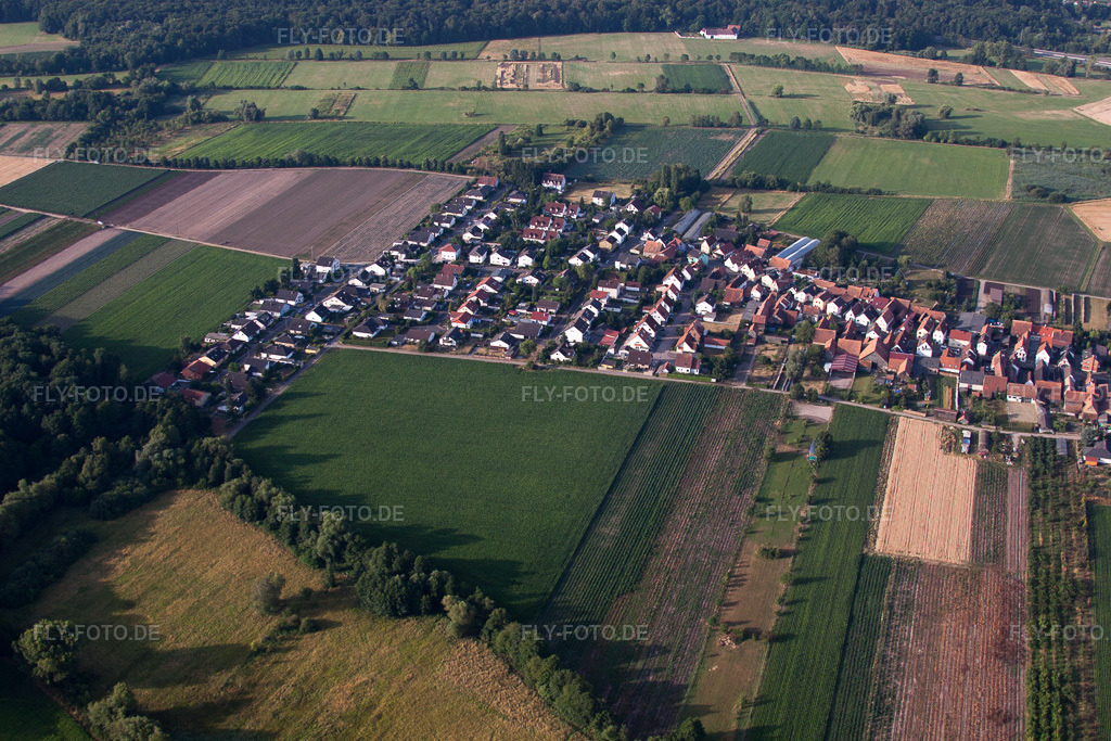 Luftbild: Ortsansicht von Norden in Erlenbach bei Kandel im Bundesland Rheinland-Pfalz in Deutschland. Foto: IMG_69760.jpg vom 04.07.2014 durch Werner Riehm/FLY-FOTO.de
