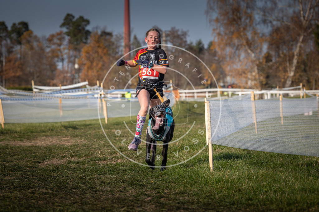 CaniXpix_0L8A9219 | Hundefotografie, Tierfotograf, Pfotenfotografie, Fotoshooting Hund, Hunde Portrait, Hundesport, Hundeportraits, Heideshooting, Hunde, Sportfotograf, Hundefotograf, Turnierhundsport, THS,  - Realisiert mit Pictrs.com