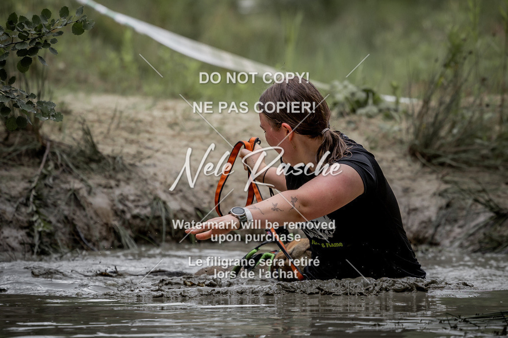 nelerasche_so0800-0930_513 | nelerasche